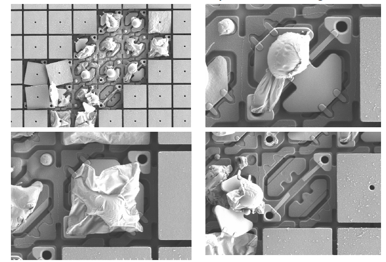 A collage of images of a piece of paperAI-generated content may be incorrect.
